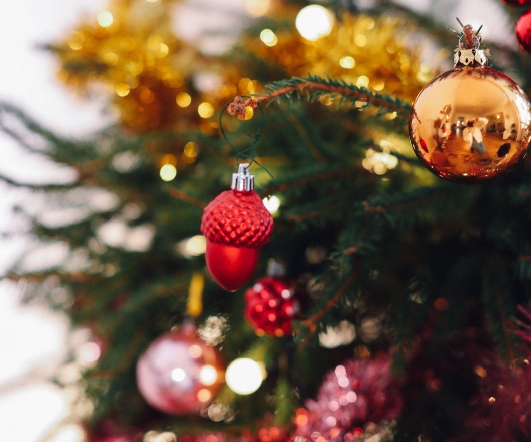 Find the Perfect Christmas Tree Clearance Sale